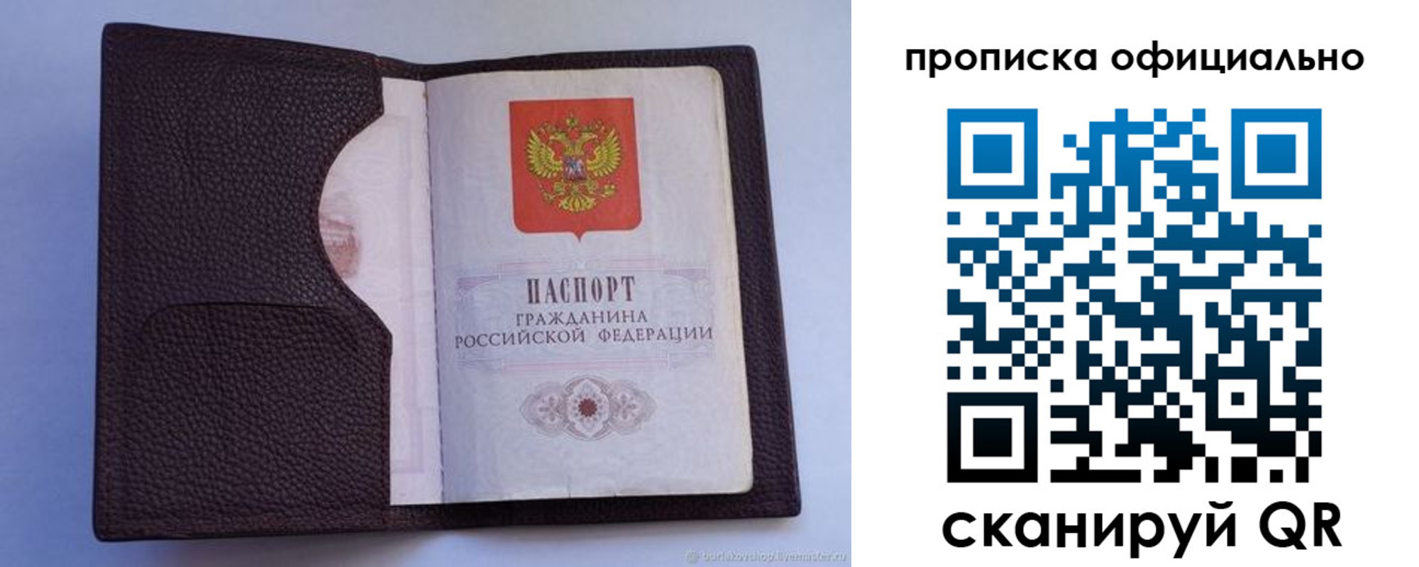 купить прописку в Павловске