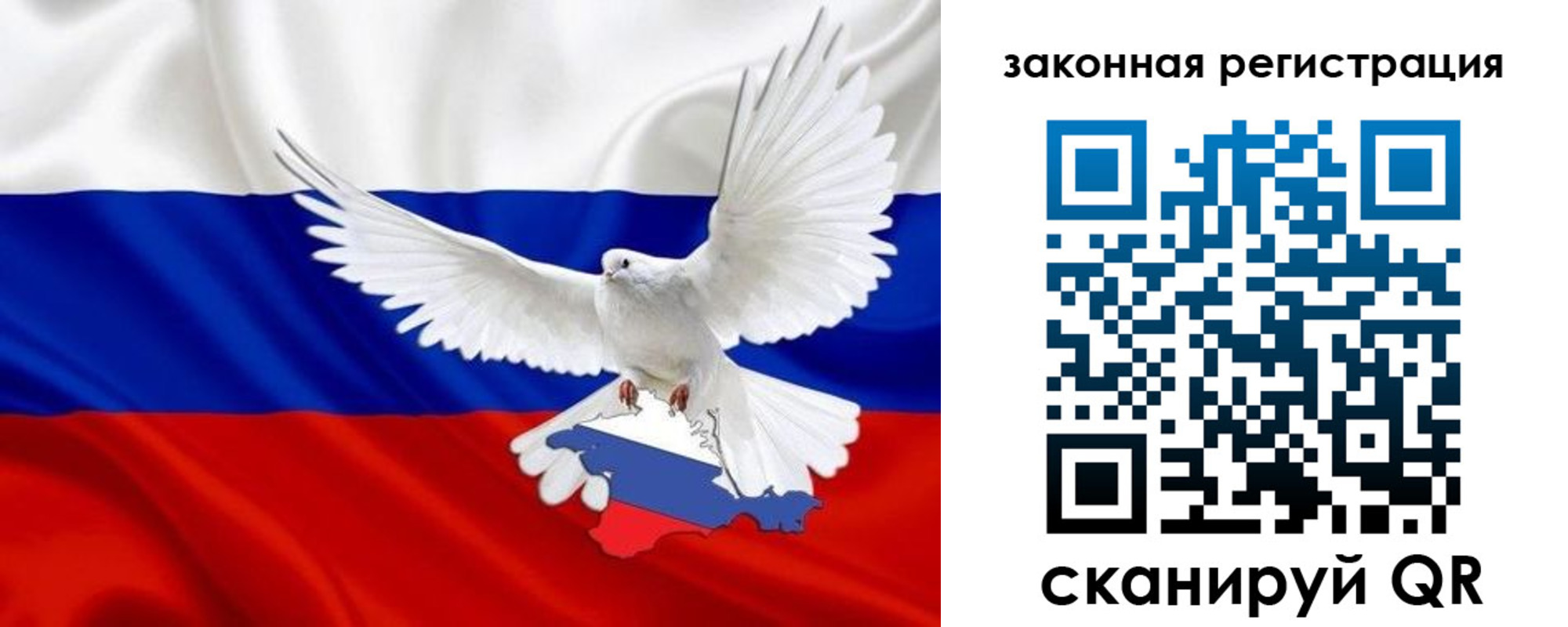 где прописаться в Павловске